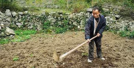 第一次見親家！父親「打包剩菜」被女方酸爆：沒錢裝什麼？結賬時經理「一句話」嚇壞親家母!