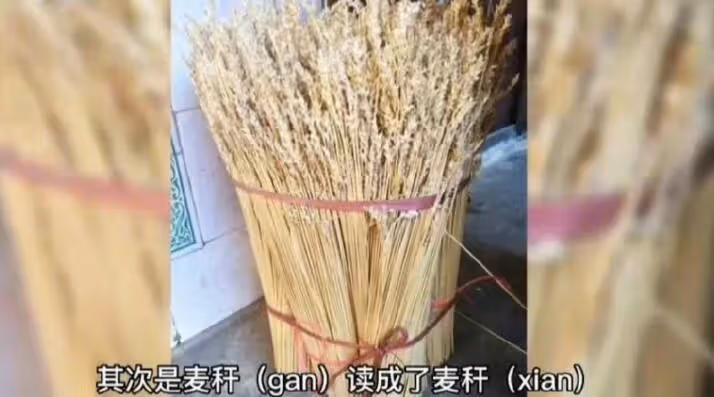 被批「絕望的文盲」,黃多多為讀錯字道歉:承認不足接受指正批評