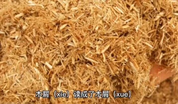 被批「絕望的文盲」,黃多多為讀錯字道歉:承認不足接受指正批評