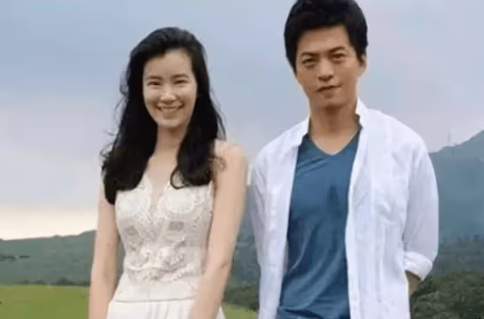 她是清華女博士，因長相太美被發掘，三次拒絕進圈卻嫁李健為妻