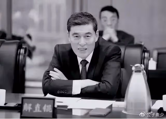 毛阿敏的悲喜人生:39歲嫁富豪,丈夫離世留下260億遺產無法接管