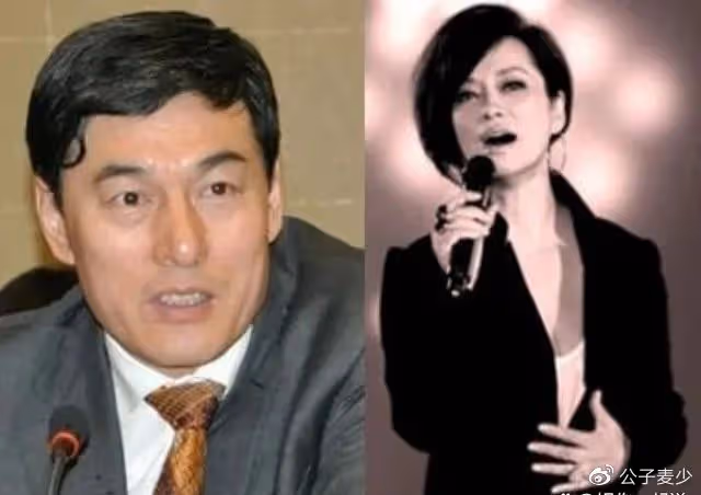 毛阿敏的悲喜人生:39歲嫁富豪,丈夫離世留下260億遺產無法接管