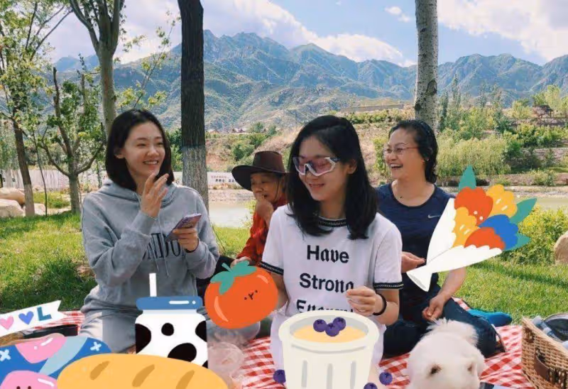 又一關係戶來了!苗苗捧親妹進娛樂圈,鄭愷妥協,妹妹長得太普通