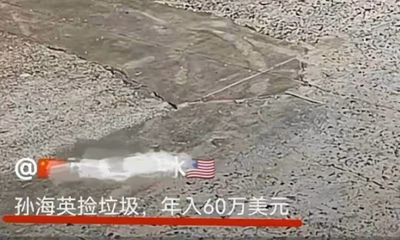 孫海英呂麗萍國外撿垃圾被偶遇，據說二人靠撿垃圾一年賺400萬