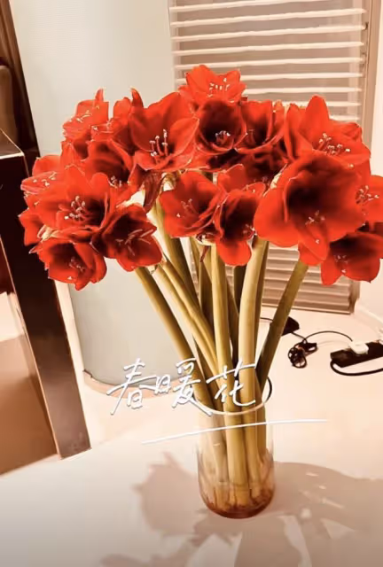 向太婦女節買花寵兒媳,郭碧婷甜喊媽媽,麥克風意外搶鏡像擺拍