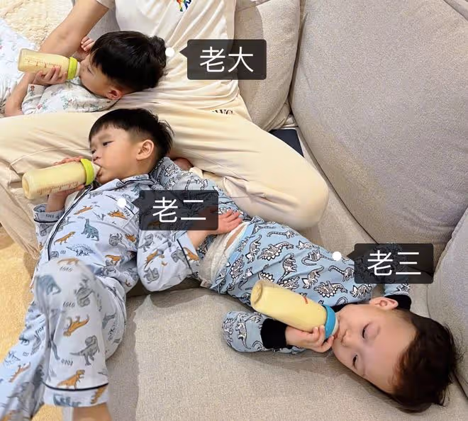 胡杏兒婦女節曬素顏照,仨兒子圍著媽媽喝奶粉,個個帥氣黏人
