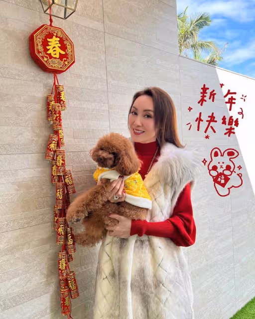 93年港姐聚會!陳妙瑛莫可欣凍齡,麥家琪髮際線後移,郭可盈缺席