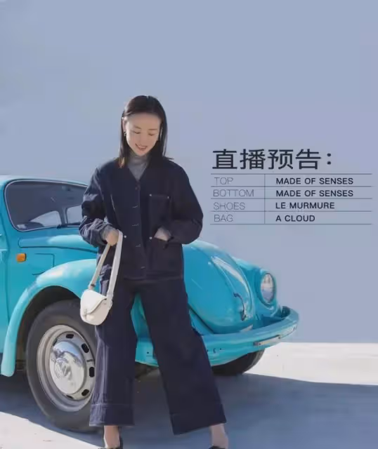 董潔洗白，全靠富婆金主