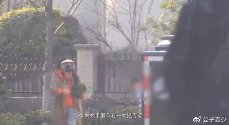 張頌文妻兒罕露面!陪兒子練滑板,妻子顏值高,買菜招待「唐小龍」