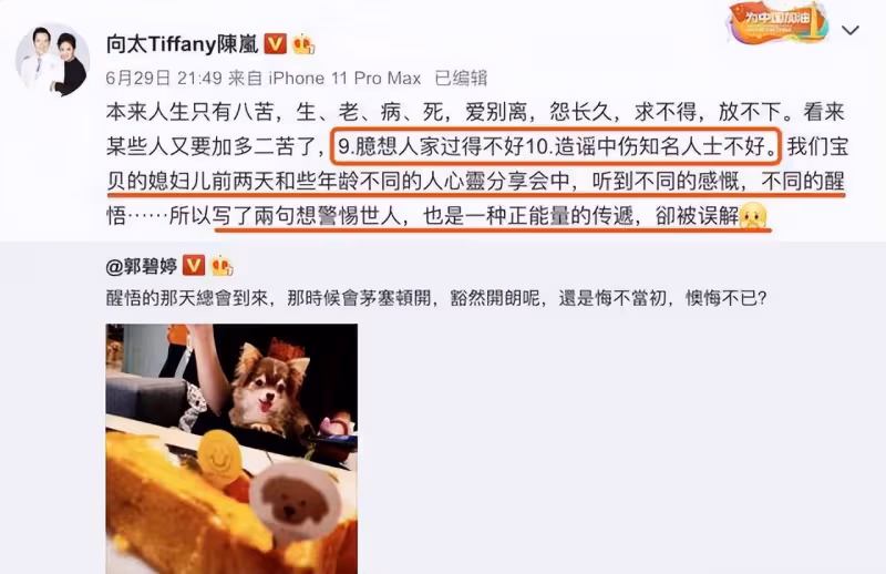向太大談婆媳關係直戳老百姓痛處，冠冕堂皇自相矛盾引調侃