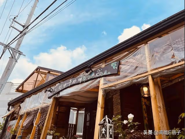 韓團愛豆父母被曝是攝理教徒！網友發現三處邪教特徵，公司回應了