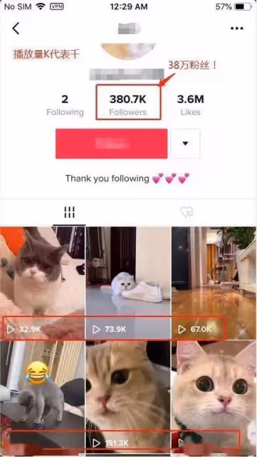 靠海外抖音TikTok月入過萬：原來現在聰明人都在靠這個賺錢！