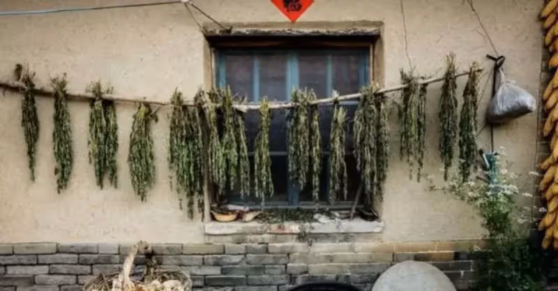 六歲男孩被單親父親送人，十八年後獨自找回老家，推開家門愣了