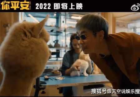 電影《保你平安》後勁有多大？《保你平安》看點都有哪些？