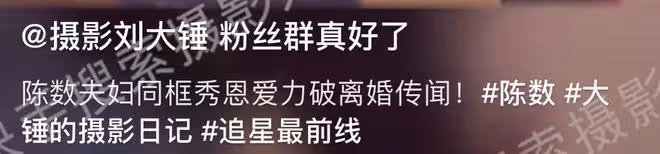 陳數夫婦出軌風波後同框，老公貼心照顧，網傳小三現身聚會引爭議