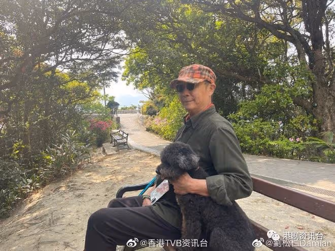 身材日漸消瘦粉絲憂心健康！73歲TVB老戲骨精神奕奕為愛犬切蛋糕慶生