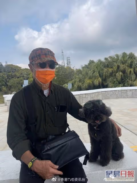 身材日漸消瘦粉絲憂心健康!73歲TVB老戲骨精神奕奕為愛犬切蛋糕慶生