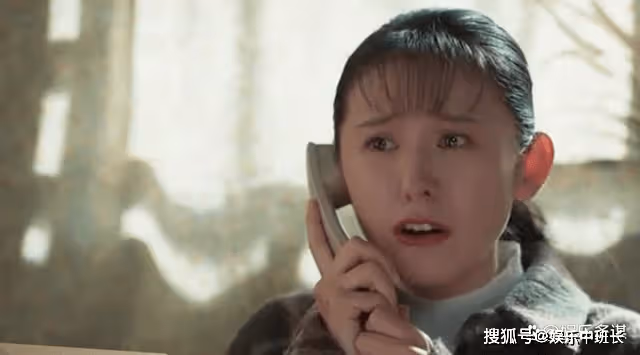 《情滿九道灣》葉菲生母僅一句話，楊樹茂東山再起拿下千億項目
