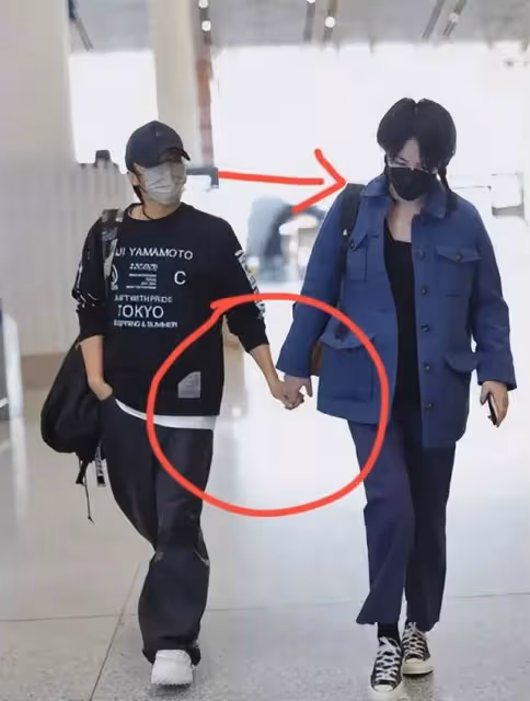 王菲謝霆鋒坐經濟艙內景照曝光,陪男友回香港,王菲做甜蜜小跟班