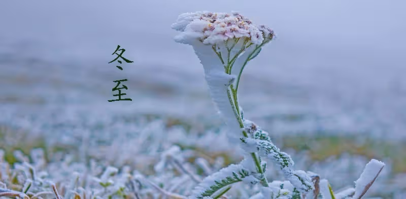 地雷復卦詳解-六十四卦詳解