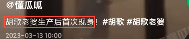 曝黃曦寧產女後首露面,跑完醫院又去接寵物貓,胡歌忙賺奶粉錢
