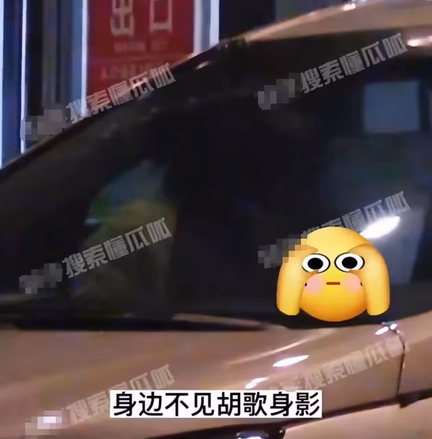曝黃曦寧產女後首露面,跑完醫院又去接寵物貓,胡歌忙賺奶粉錢