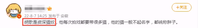 曝黃曦寧產女後首露面,跑完醫院又去接寵物貓,胡歌忙賺奶粉錢