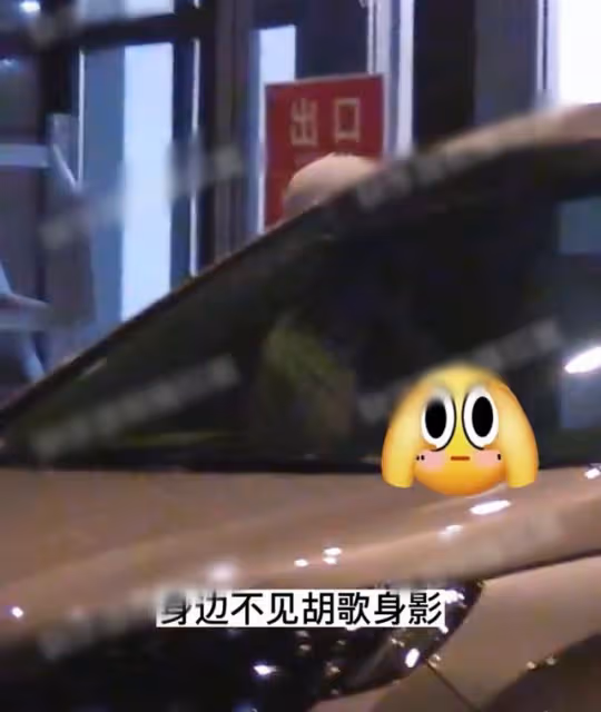 胡歌老婆產女後首現身,四肢纖細打扮樸素,坐豪車去醫院不見老公