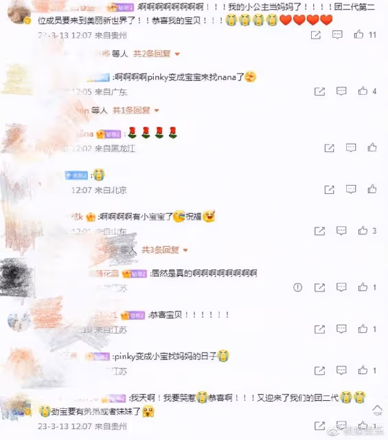 41歲任家萱官宣懷孕,曬寶寶B超照滿心喜悅,與小男友無結婚計劃