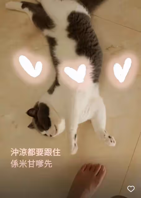郭嘉文疑似有新戀情,家中出現神秘光腳照,不是李澤楷的