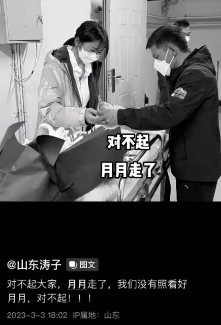 網紅濤子遭受網暴,發視頻回應女兒月月死因,妻子怒斥噴子詆毀