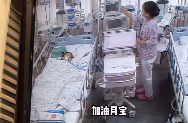 網紅濤子遭受網暴,發視頻回應女兒月月死因,妻子怒斥噴子詆毀
