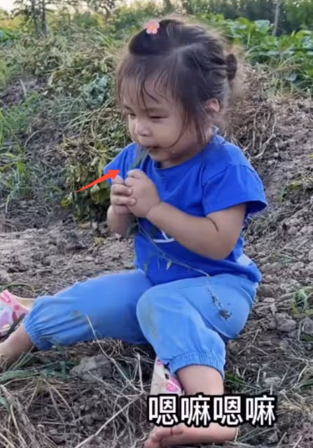 網紅濤子遭受網暴,發視頻回應女兒月月死因,妻子怒斥噴子詆毀