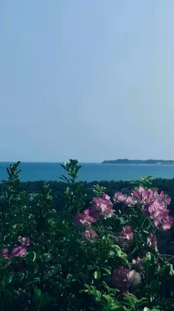 姐妹早茶鋪|如果再開音樂會,袁婭維不會選成都