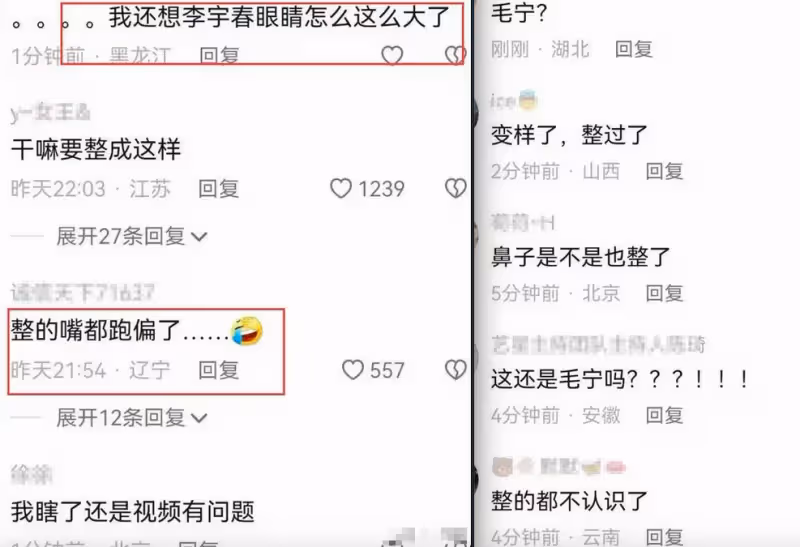 毛寧整容後氣質大變，帥大叔變精神小伙托尼，臉僵嘴歪但確實年輕