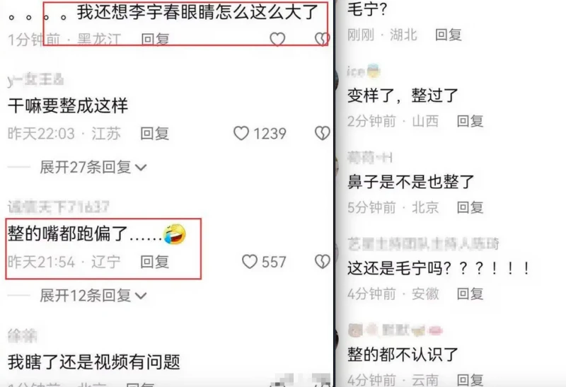 毛寧整容後氣質大變,帥大叔變精神小伙托尼,臉僵嘴歪但確實年輕