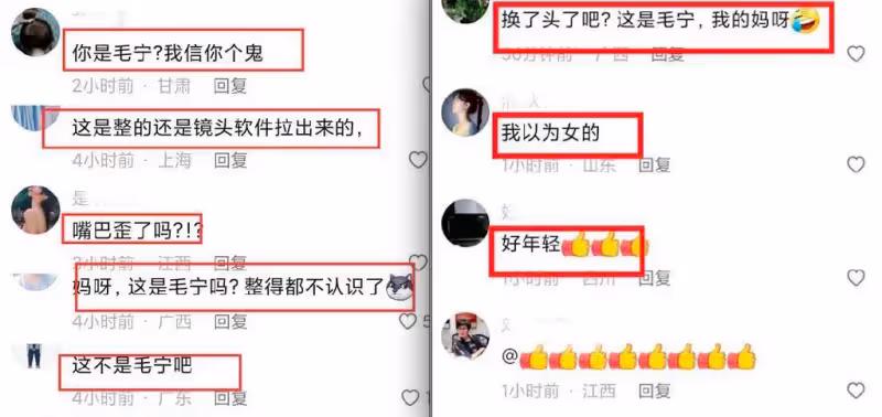 毛寧整容後氣質大變，帥大叔變精神小伙托尼，臉僵嘴歪但確實年輕