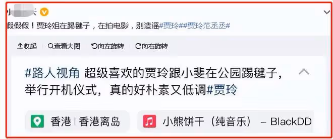 網曝賈玲忙著秘密生子,娃他爹竟然是范丞丞,兩人聊天記錄曝光