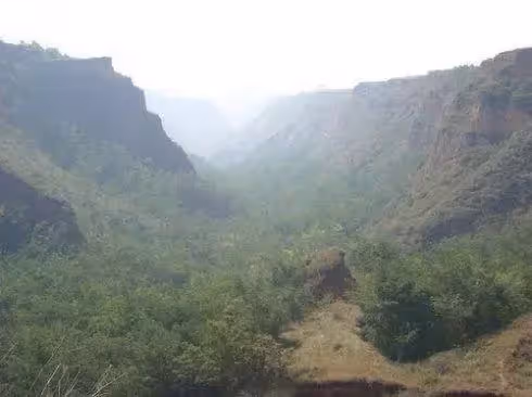 滿月宴上婆婆寄來一張遺像，兒媳含淚收下，哪知因此救了全家！