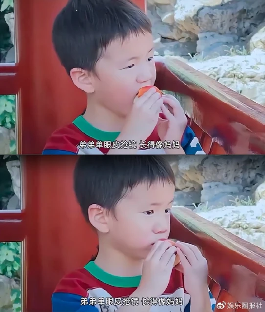 孫莉隱藏多年兒子正面照曝光,單眼皮嘟嘟臉,軟糯活潑堪稱小黃磊