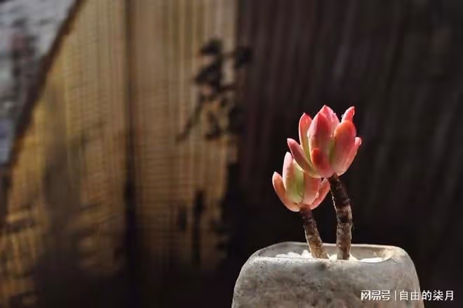 給兒子買房花30萬，親家住進去養老，兒媳：給你一千元，自己生活