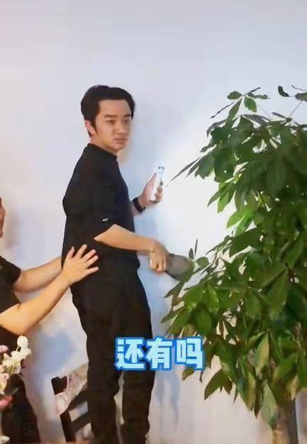 李亞男曬一家四口,倆女兒都遺傳王祖藍大鼻子?妹妹被贊更好看