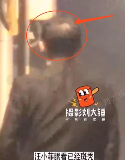 汪小菲攜兩個美女去夜店,有說有笑超瀟灑,與張穎穎分手心情好
