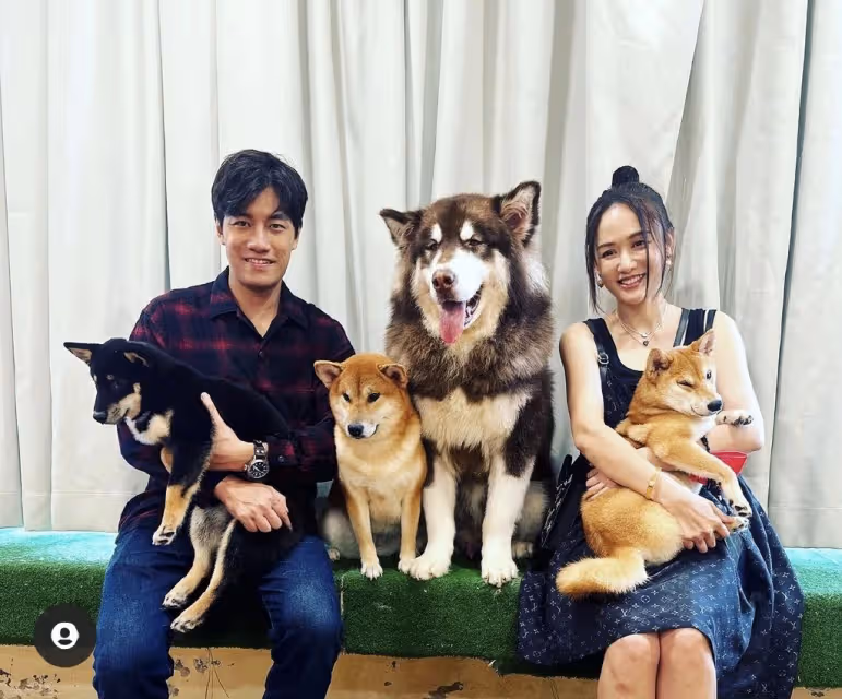 陳喬恩曬與Alan喝香檳,間接闢謠懷孕,丈夫陪她度假多月被質疑不工作
