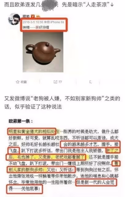 汪涵和歐弟再同框,網友高呼「爺青回」,誰還記得他們的恩怨始末