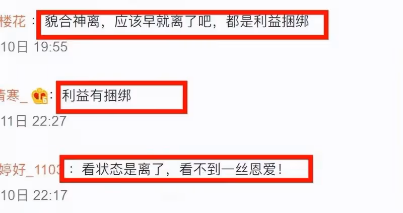 曝洪欣張丹峰已離婚,財產都歸男方,倆人最後同框無交流形同路人