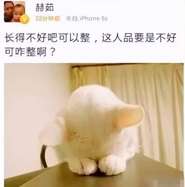 前經紀人爆趙麗穎黑料人品差、腦袋空空、整容臉脹，看馮紹峰何炅霍建華怎麼說