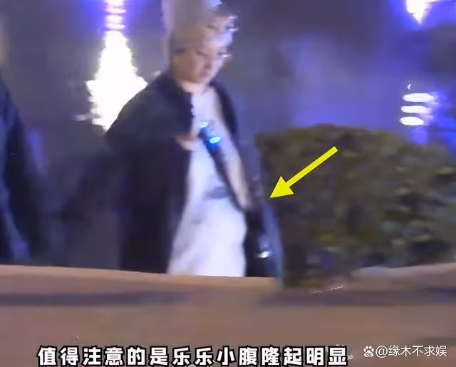 73歲徐克女友疑懷孕,小30歲女友小腹微隆,曾和前妻約定丁克!