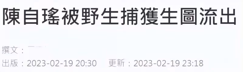 41歲陳自瑤身材突然變豐滿,被質疑二次發育,一個月時間變化不小