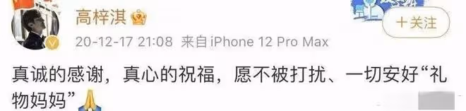 蔡琳攜子出席活動,臉僵嘴歪變化大,兒子到3歲才知爸爸是高梓淇